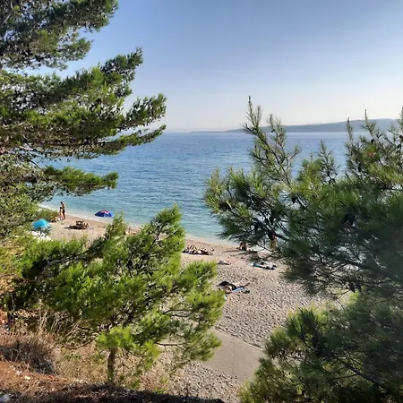 Apartament Manda *
