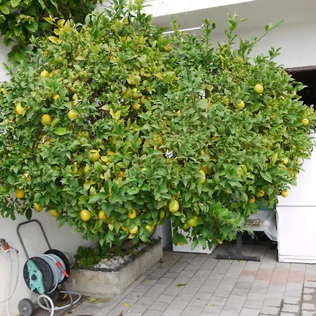 Apartament Manda *